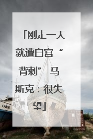 刚走一天就遭白宫“背刺” 马斯克：很失望