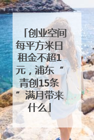 创业空间每平方米日租金不超1元，浦东“青创15条”满月带来什么