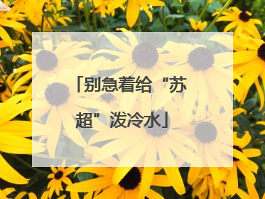 别急着给“苏超”泼冷水