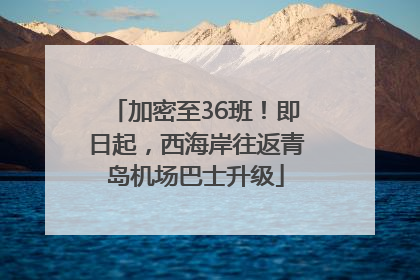 加密至36班！即日起，西海岸往返青岛机场巴士升级