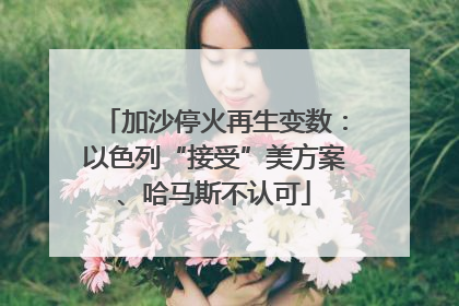 加沙停火再生变数：以色列“接受”美方案、哈马斯不认可