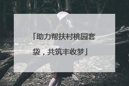 助力帮扶村桃园套袋，共筑丰收梦