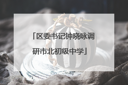 区委书记钟晓咏调研市北初级中学