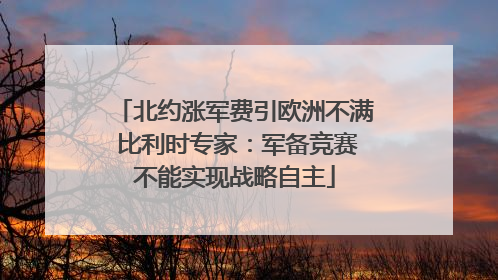 北约涨军费引欧洲不满 比利时专家：军备竞赛不能实现战略自主