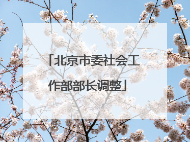 北京市委社会工作部部长调整