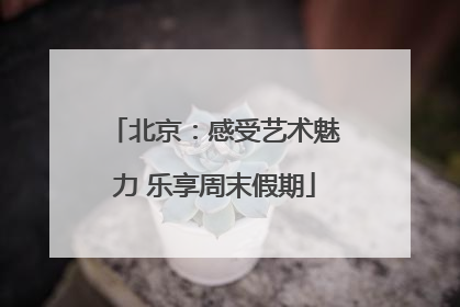 北京：感受艺术魅力 乐享周末假期