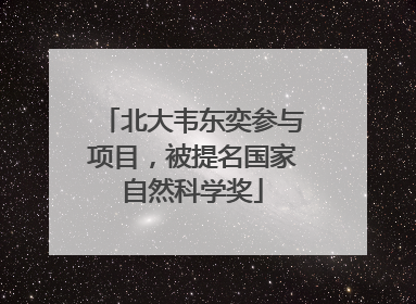 北大韦东奕参与项目，被提名国家自然科学奖