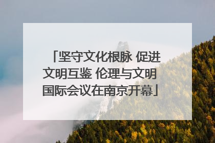 坚守文化根脉 促进文明互鉴 伦理与文明国际会议在南京开幕