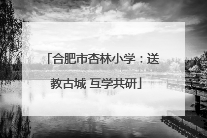 合肥市杏林小学：送教古城 互学共研