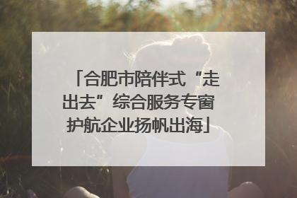 合肥市陪伴式“走出去”综合服务专窗护航企业扬帆出海