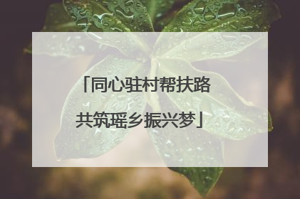 同心驻村帮扶路 共筑瑶乡振兴梦