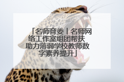 名师育娄丨名师网络工作室组团帮扶 助力薄弱学校教师数字素养提升