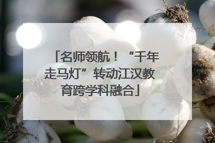 名师领航！“千年走马灯”转动江汉教育跨学科融合