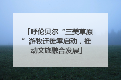 呼伦贝尔“三美草原”游牧迁徙季启动，推动文旅融合发展
