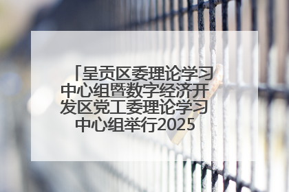 呈贡区委理论学习中心组暨数字经济开发区党工委理论学习中心组举行2025年第七次学习会议