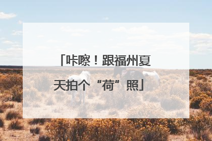 咔嚓！跟福州夏天拍个“荷”照