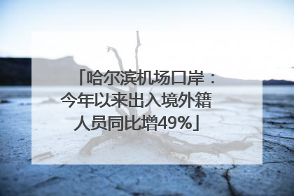 哈尔滨机场口岸：今年以来出入境外籍人员同比增49%