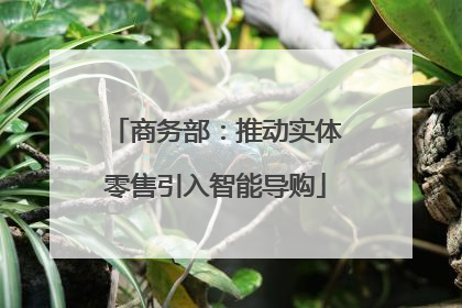 商务部：推动实体零售引入智能导购