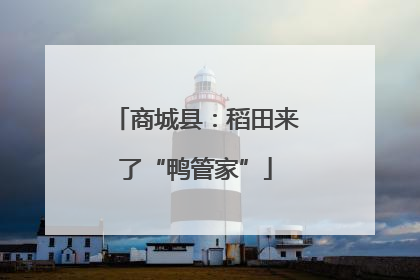 商城县：稻田来了“鸭管家”