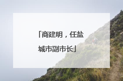 商建明，任盐城市副市长