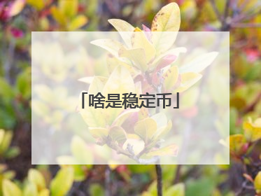 啥是稳定币