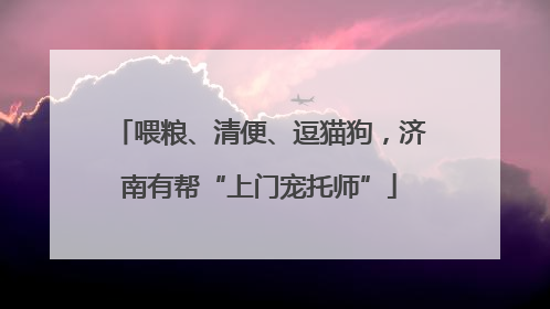 喂粮、清便、逗猫狗，济南有帮“上门宠托师”