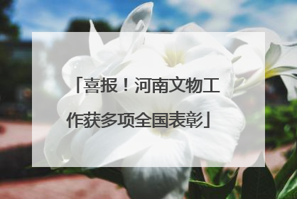 喜报！河南文物工作获多项全国表彰