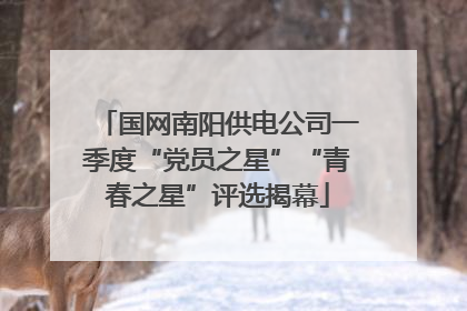 国网南阳供电公司一季度“党员之星”“青春之星”评选揭幕
