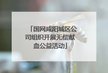 国网咸阳城区公司组织开展无偿献血公益活动