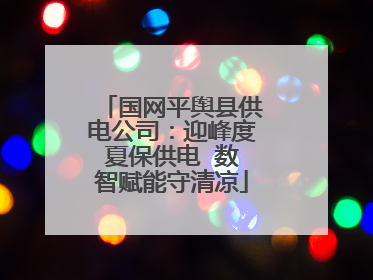 国网平舆县供电公司：迎峰度夏保供电  数智赋能守清凉