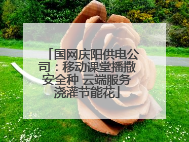 国网庆阳供电公司：移动课堂播撒安全种 云端服务浇灌节能花