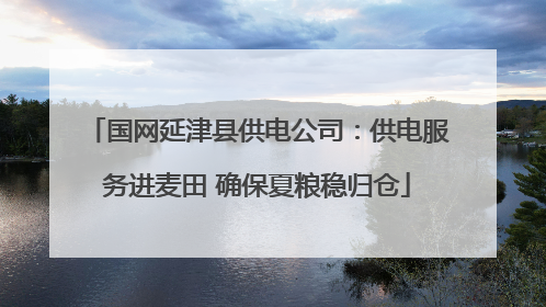 国网延津县供电公司：供电服务进麦田 确保夏粮稳归仓