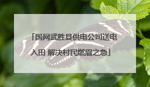 国网武胜县供电公司送电入田 解决村民燃眉之急