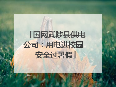 国网武陟县供电公司：用电进校园  安全过暑假