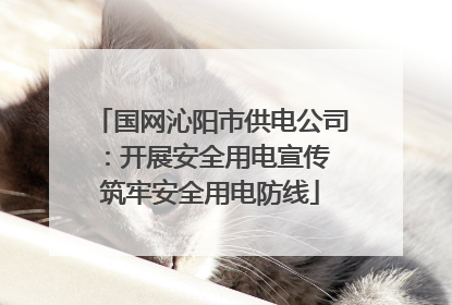 国网沁阳市供电公司：开展安全用电宣传 筑牢安全用电防线