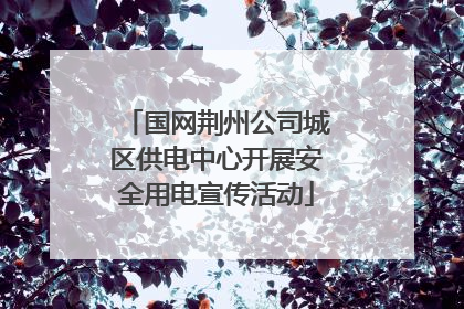 国网荆州公司城区供电中心开展安全用电宣传活动
