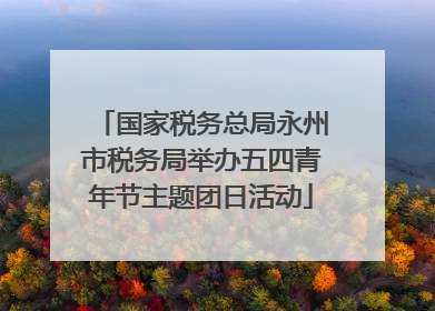 国家税务总局永州市税务局举办五四青年节主题团日活动