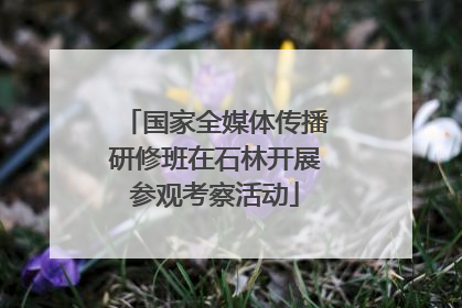 国家全媒体传播研修班在石林开展参观考察活动