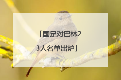 国足对巴林23人名单出炉