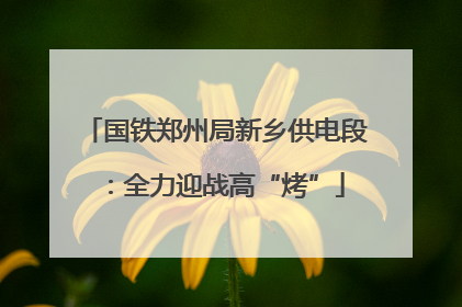 国铁郑州局新乡供电段：全力迎战高“烤”