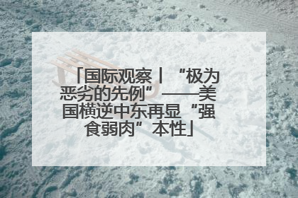 国际观察丨“极为恶劣的先例”——美国横逆中东再显“强食弱肉”本性