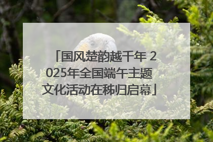 国风楚韵越千年 2025年全国端午主题文化活动在秭归启幕