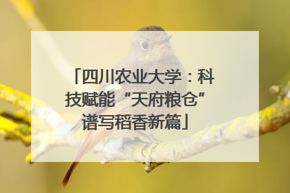四川农业大学：科技赋能“天府粮仓”谱写稻香新篇