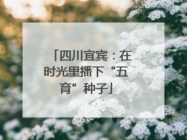四川宜宾：在时光里播下“五育”种子