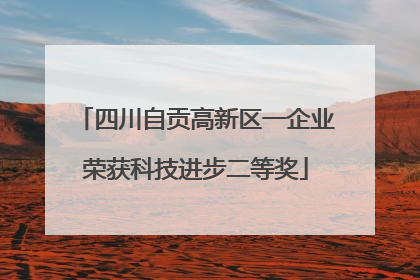 四川自贡高新区一企业荣获科技进步二等奖