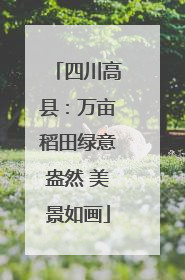 四川高县：万亩稻田绿意盎然 美景如画