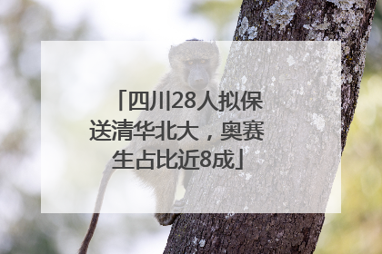 四川28人拟保送清华北大，奥赛生占比近8成