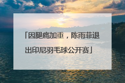 因腿痛加重，陈雨菲退出印尼羽毛球公开赛