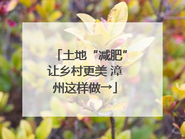 土地“减肥”让乡村更美 漳州这样做→