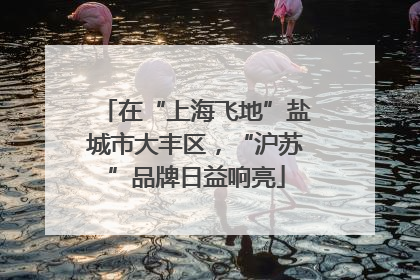 在“上海飞地”盐城市大丰区，“沪苏”品牌日益响亮